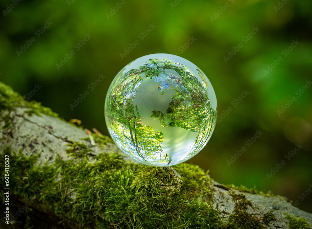 glass earth globe in the forest