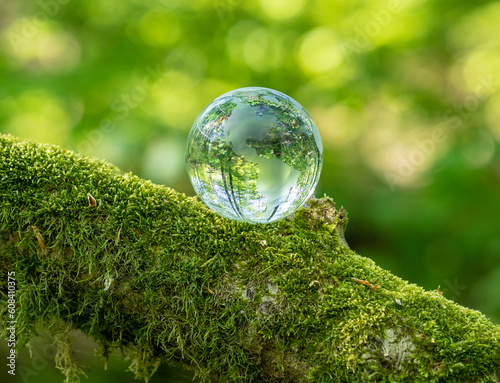 glass earth globe in the forest