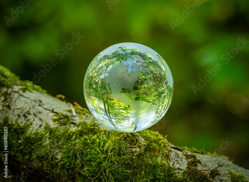 glass earth globe in the forest © wlad074