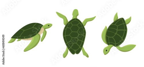Set of big sea turtle cartoon cute animal design ocean tortoise swimming in water. Flat hand drawn sketch vector illustration isolated on white background