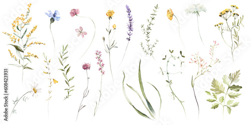 Fotografie, Obraz Wild field herbs flowers