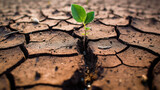 Resilient Growth: Close-Up of a Young Plant Thriving Amidst Dry Cracks in Fine-Grained Soil. Generative AI