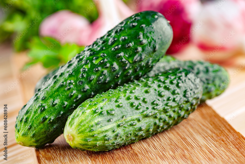 Cucumber on dark wood texture background.Cucumbers harvest in summer. Cucumbers for salads or canning. Summer vegetables. Organic agriculture in village. Cucumber on dark wood texture background.Cucumbers harvest in summer. Cucumbers for salads or canning. Summer vegetables. Organic agriculture in village.