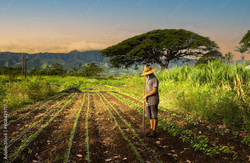 Fototapeta premium Farmer working in the field 