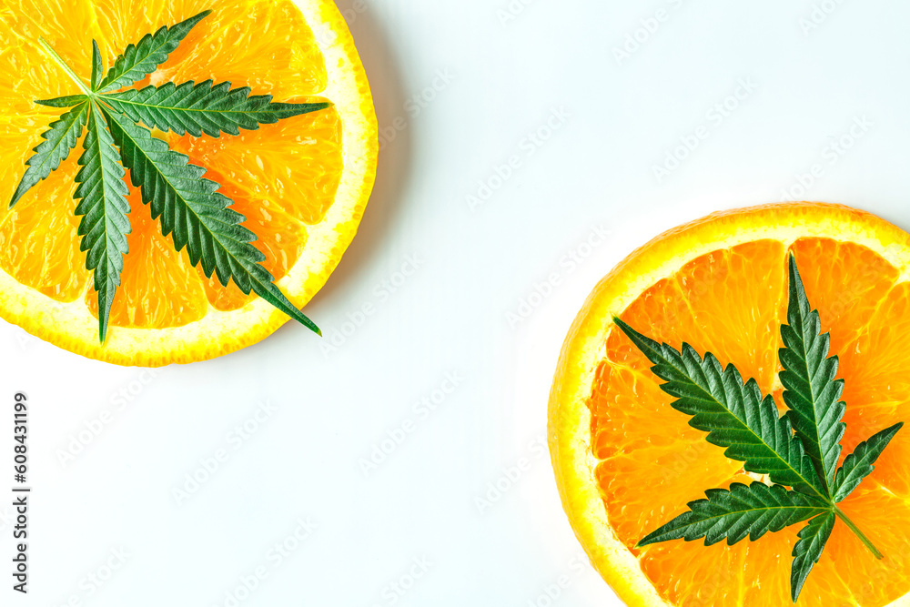 Cannabis bud and leaves with sliced lemon and orange.Green cbd cannabis