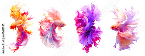 Betta fish. Colorful fighting Siamese fish illustration with watercolor ink splash. Magic exotic tropical fish ai generated illustration