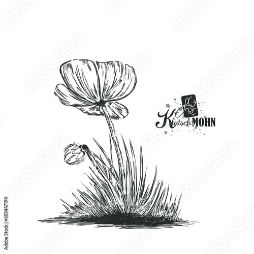 klatschmohn-poppy