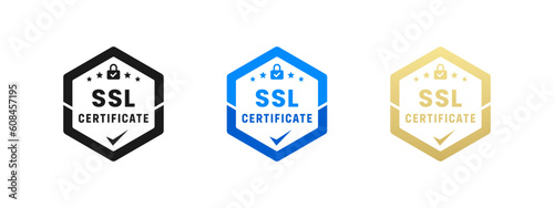 SSL certificate label or SSL certificate logo vector isolated in Flat Style. SSL certificate label for product packaging design element. SSL certificate logo for packaging design element.