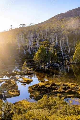 Early morning at the pool of Bethesda, Tasmania photo