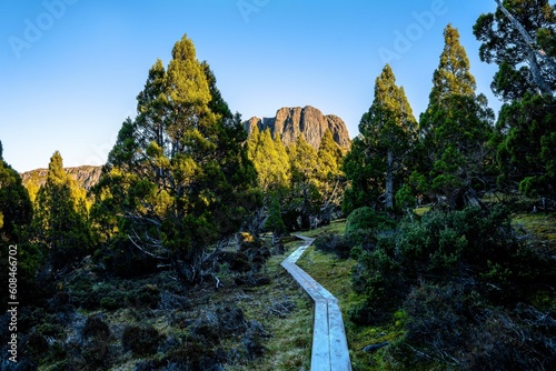 walking track in the mountains photo