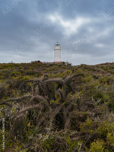 Faro Patagonia