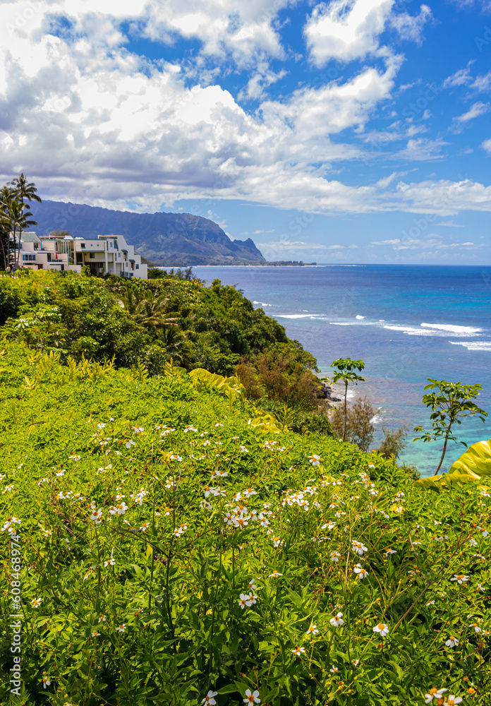 Wildflowers and The Na Pali Cliffs Near Hideaways Beach, Princeville, Kauai, Hawaii, USA