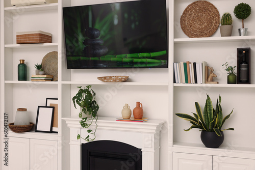 TV and shelves with different decor and houseplants in room. Interior design