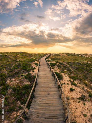 View from the walkway south of Furadouro beach © homydesign