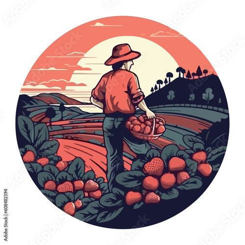 One farmer harvesting organic fruit