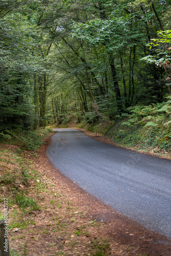 Country road