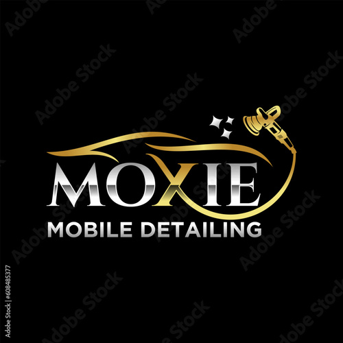 Car Detailing Logo Inspiration Vector