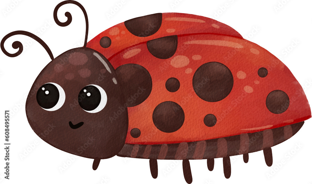 Obraz premium Ladybug Watercolor