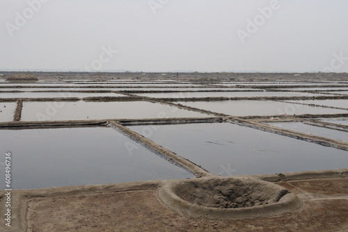 raw salt farm plot with water and polythene bed
