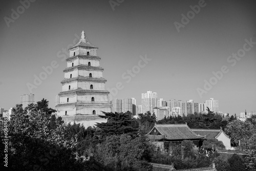 Da-Yan Tower photo