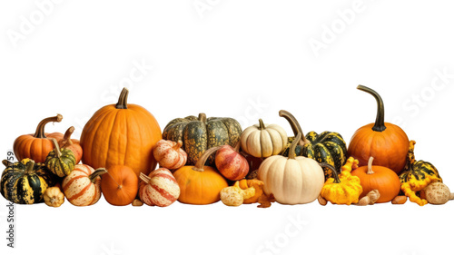 bountiful harvest pumpkins as a frame border, isolated with negative space for layouts