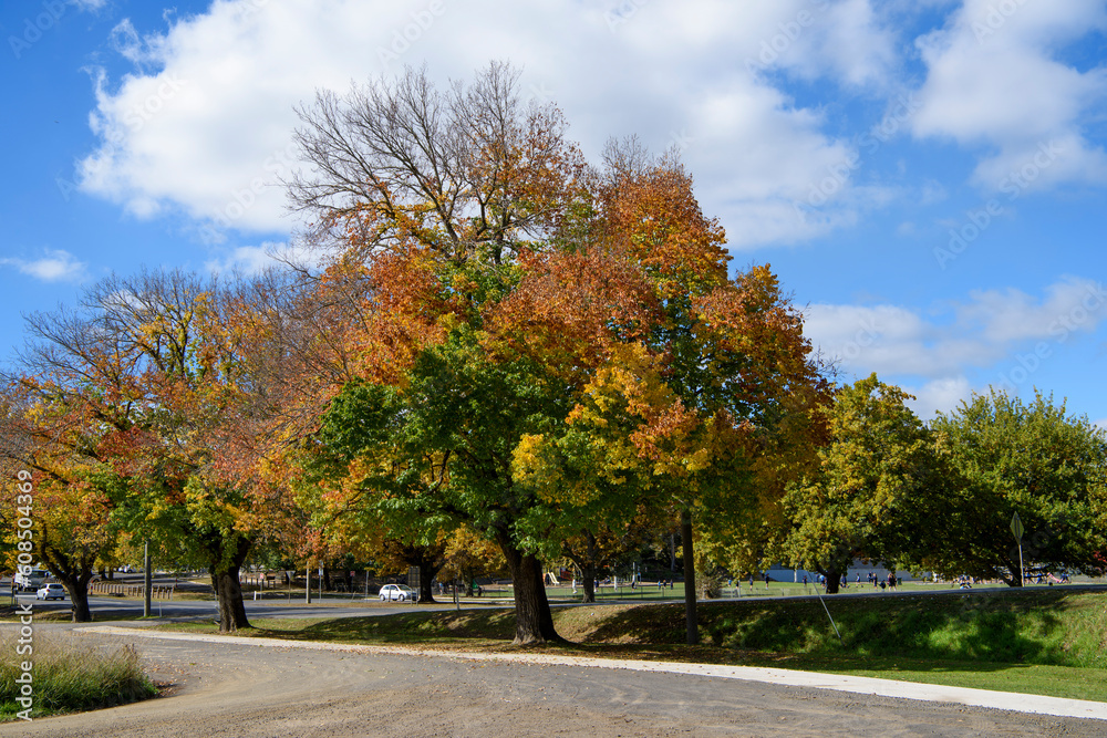 Autumn Colours In Kyneton, Victoria, Australia Autumn Colours In Kyneton, Victoria, Australia