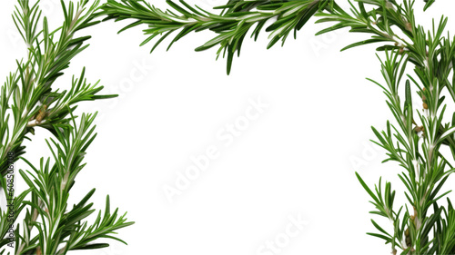 aromatic rosemary sprigs as a frame border, isolated with negative space for layouts © Perfect PNG