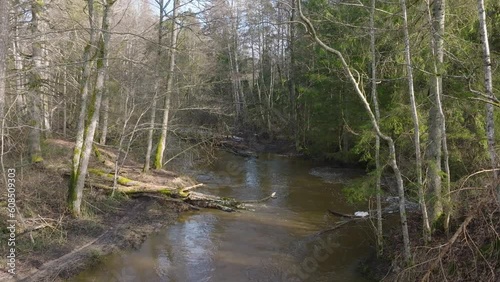 Aerial establishing view of high water in springtime, Otanke river (Latvia) flood, brown and muddy water, sunny spring day, wide drone shot moving forward low through the trees photo