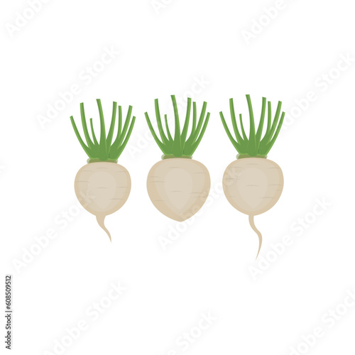 Fresh Turnip Vegetable Illustration Logo