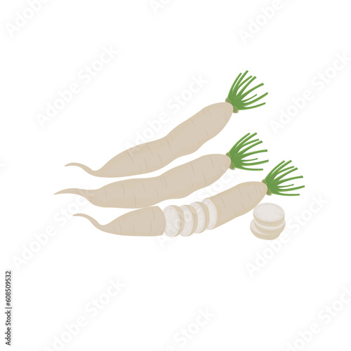 Cut Daikon Radish Vegetable Illustration Logo