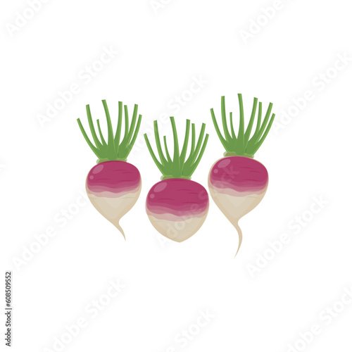 Purple Turnip Vegetable Vector Illustration Logo