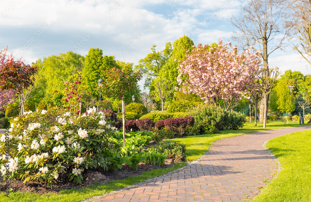 A paved walkway in a blooming garden on a warm spring day.