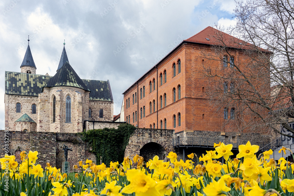 blühendes Magdeburg im Frühjahr