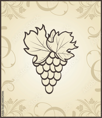 Illustration retro engraving of grapevine - vector
