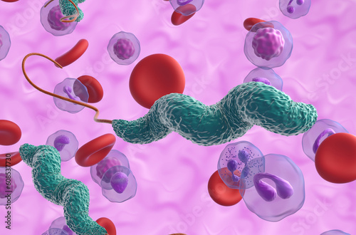 Campylobacter jejuni bacteria - 3d illustration closeup view photo