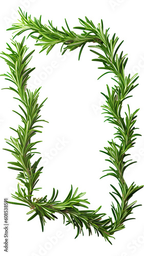 aromatic rosemary sprigs as a frame border  isolated with negative space for layouts