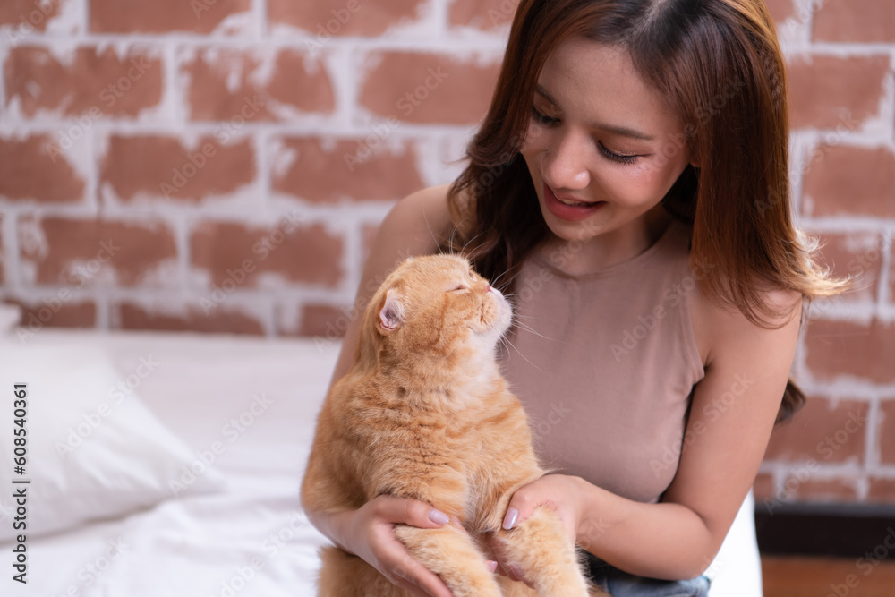 Persian cat in owner's arms gaze warmly Persian cat in owner's arms gaze warmly