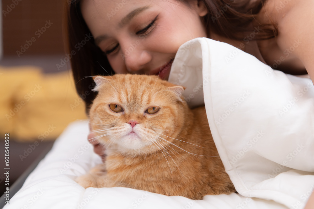 An intelligent Persian cat and owner playing together in bed An intelligent Persian cat and owner playing together in bed