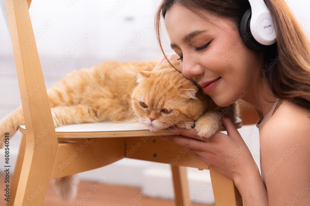 Young asian woman snuggling with a clever Persian cat. with love tenderness Young asian woman snuggling with a clever Persian cat. with love tenderness