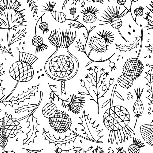 Milk Thistle flowers. Silymarin. Vector botanical illustration. Seamless pattern for your design