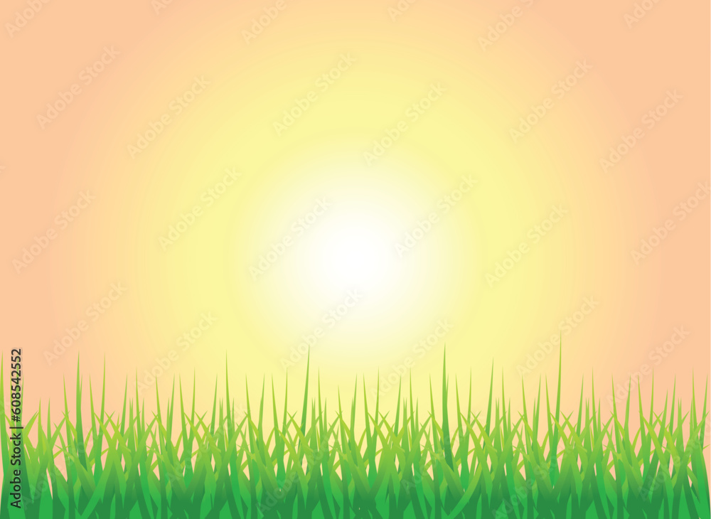 A Colourful Vector Illustration of A Sunset Grass Background