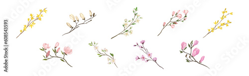 Flower Twig and Branch with Tender Blooming Flora Vector Set