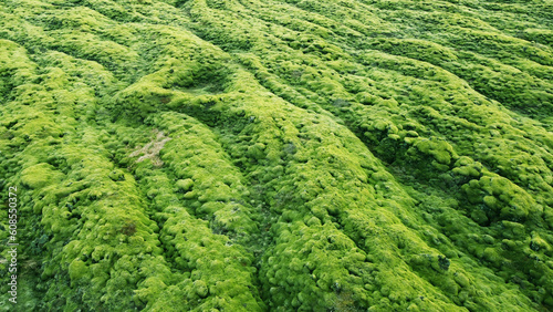 Aerial view of the beautiful landscape with the nature of Iceland. A field of green arctic moss. Background for tourism, design and advertising