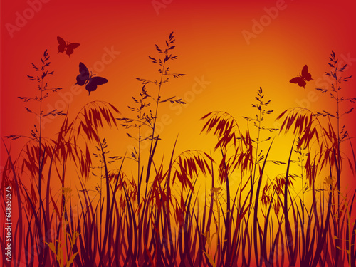 sunset background with grass and flowers