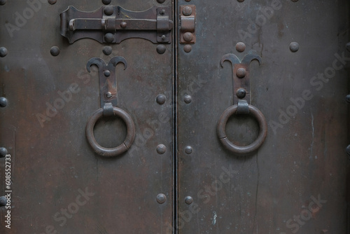 Wrought iron door. metal door in an old medieval temple. medieval background © Otar