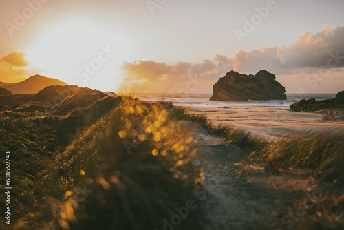 Wide shot of the Wharariki Beach in New Zealand at sunset