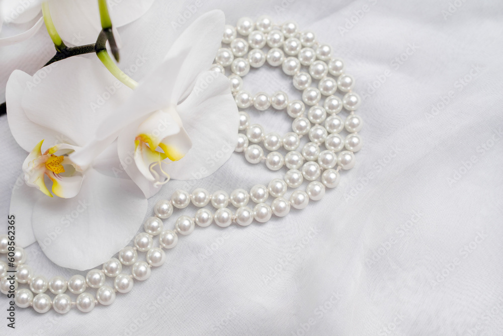 The branch of white orchids on white fabric background
The branch of white orchids on white fabric background