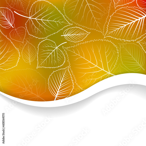 Vector Autumn abstract background with white leafs and place for your text