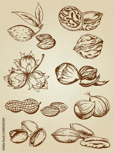 set of vector various nuts in retro style