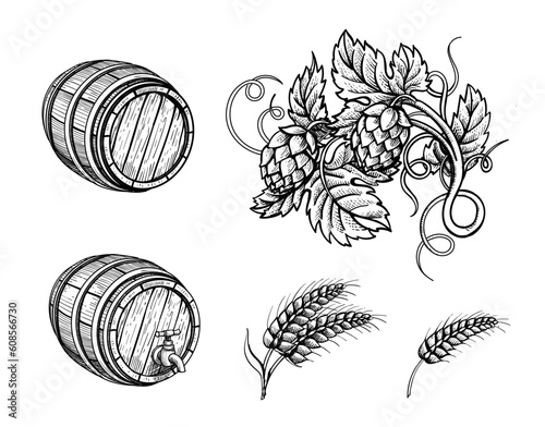 Beer ingredients set, barrel, wheat ears and hops iengraving style elements on white background.